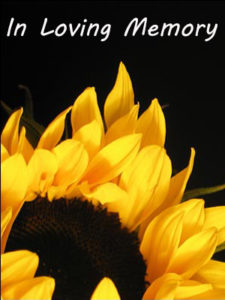 WEB Sunflower 1