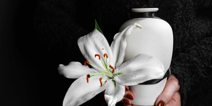 cremation services in chaska mn